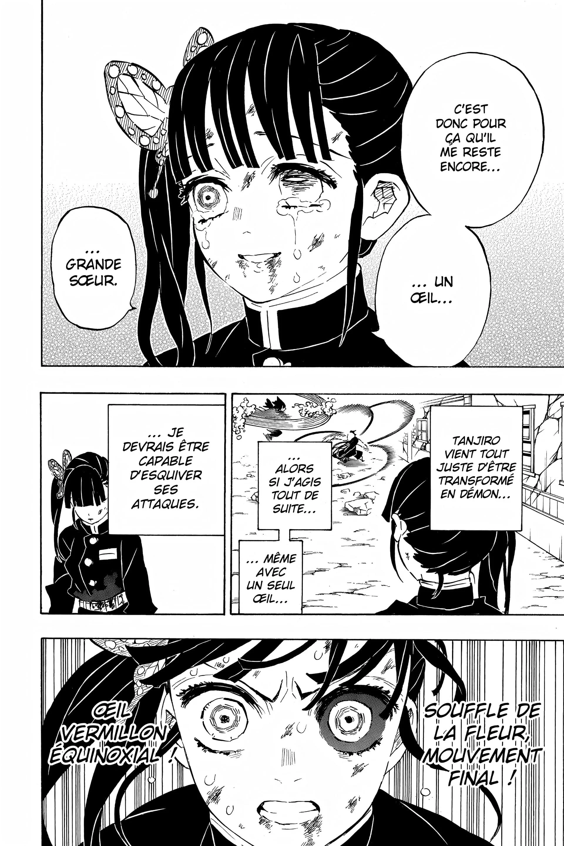 Read Demon Slayer FR Manga Online