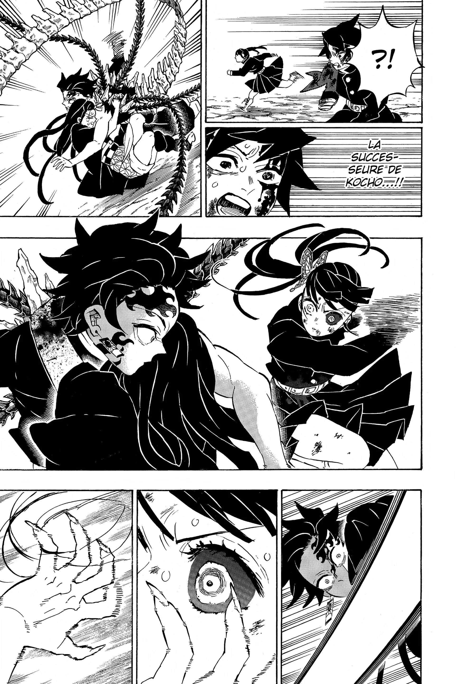 Read Demon Slayer FR Manga Online