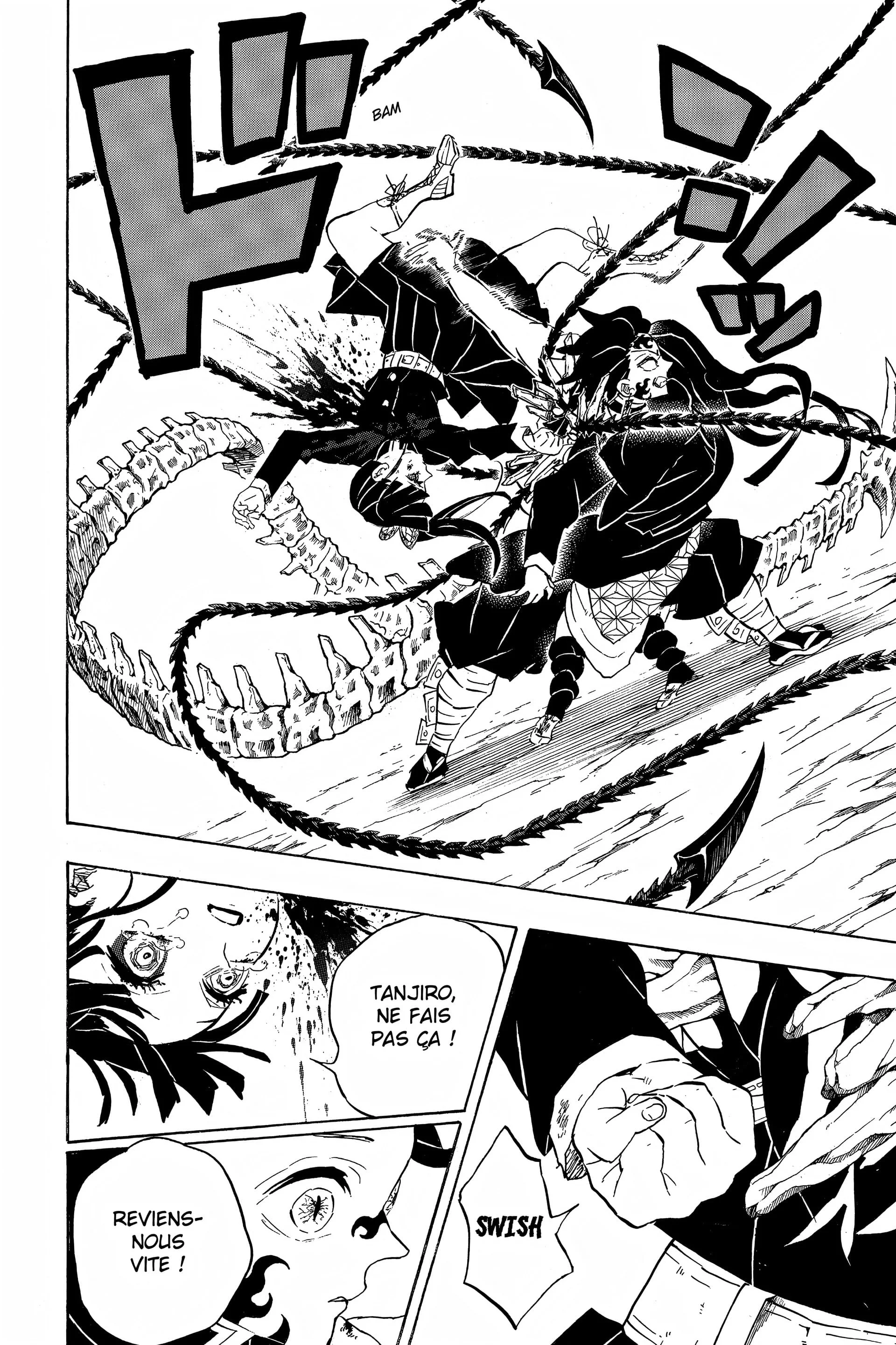 Read Demon Slayer FR Manga Online