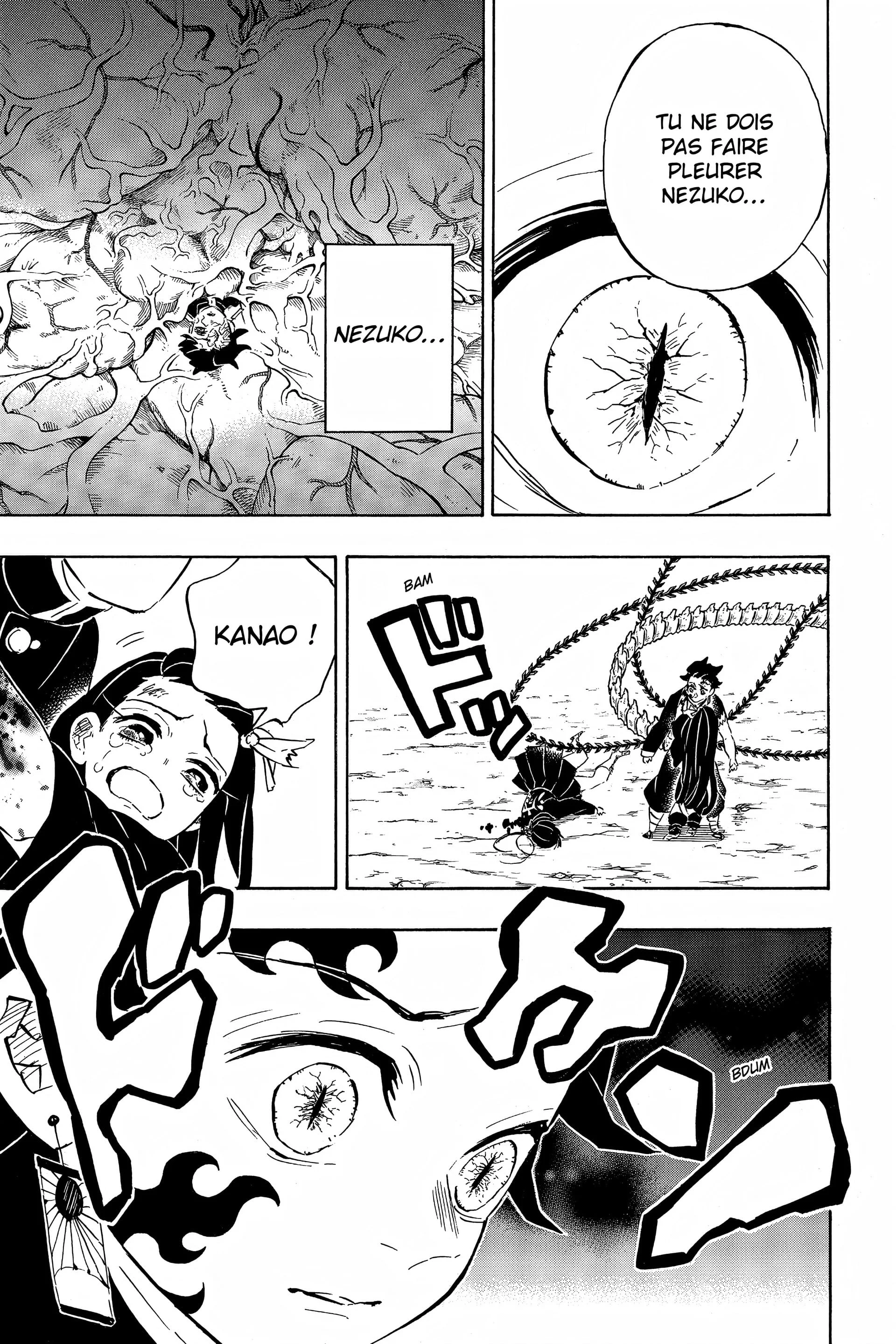 Read Demon Slayer FR Manga Online