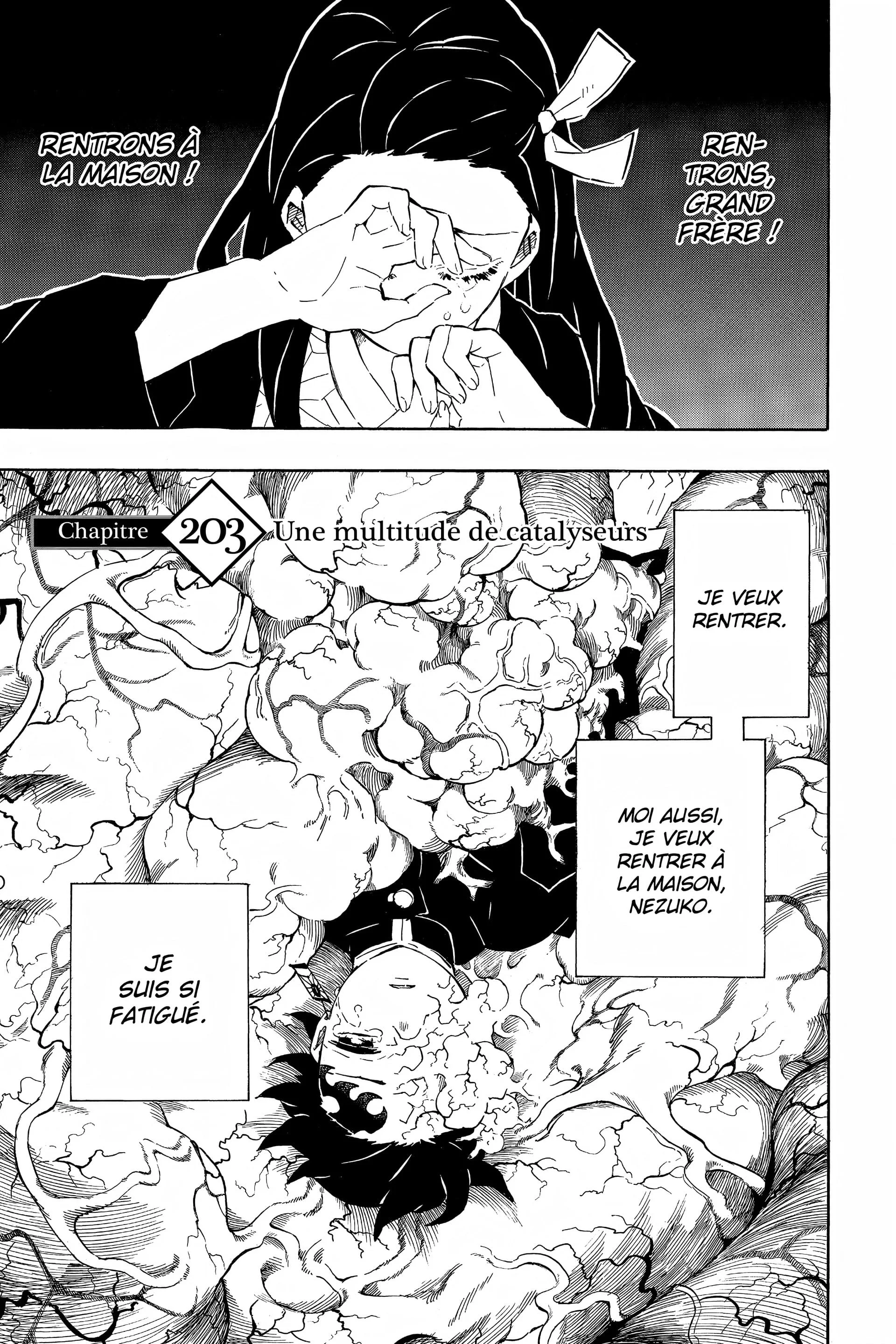 Read Demon Slayer FR Manga Online