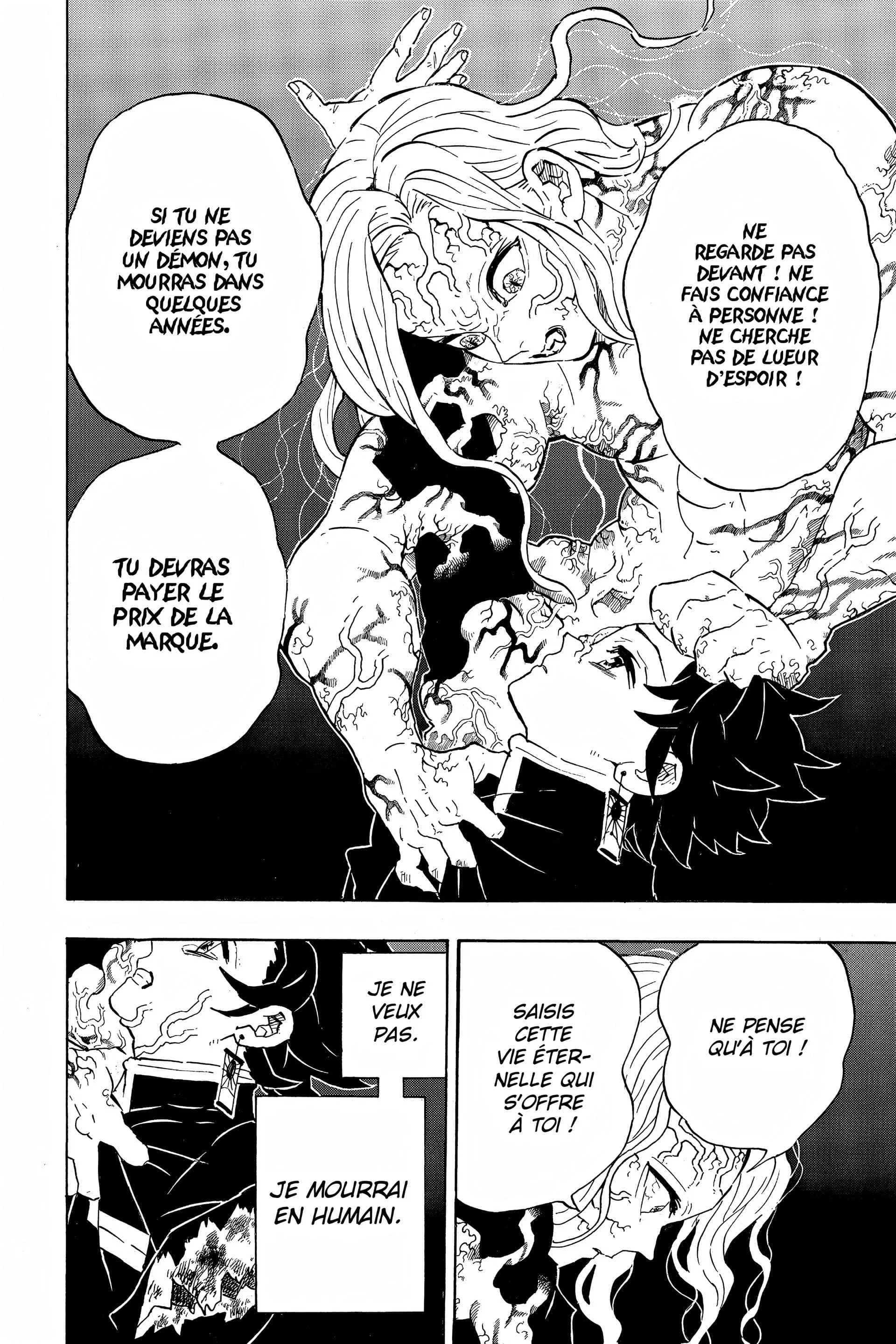 Read Demon Slayer FR Manga Online