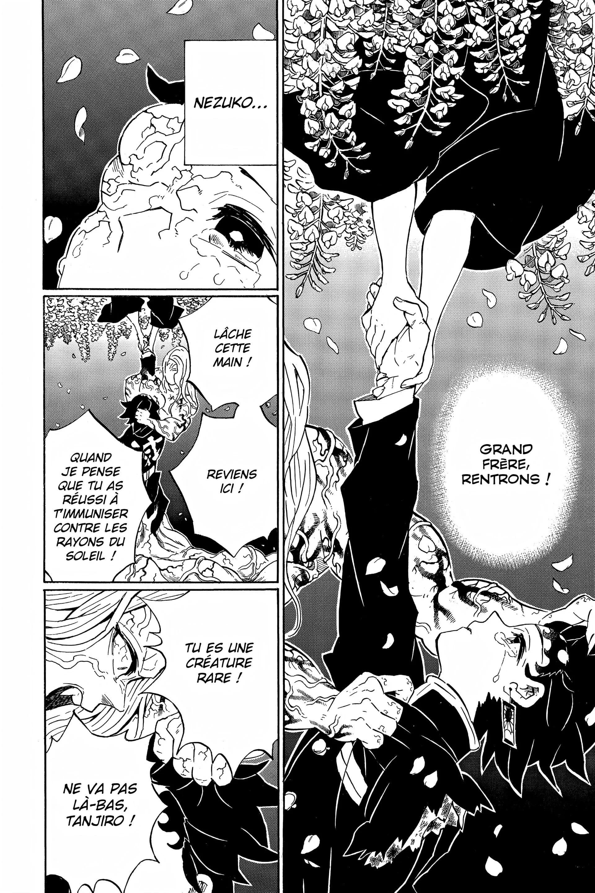 Read Demon Slayer FR Manga Online