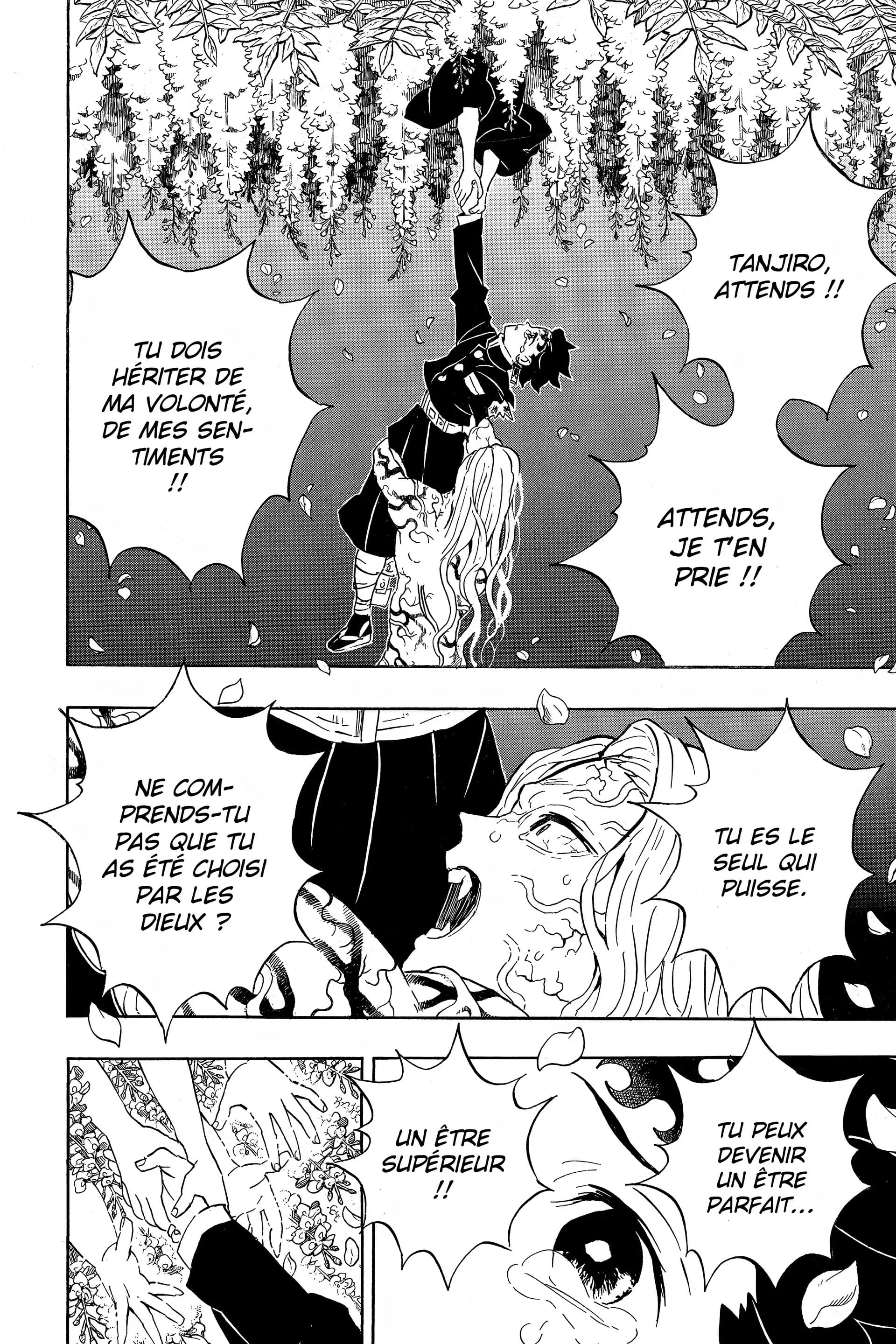 Read Demon Slayer FR Manga Online