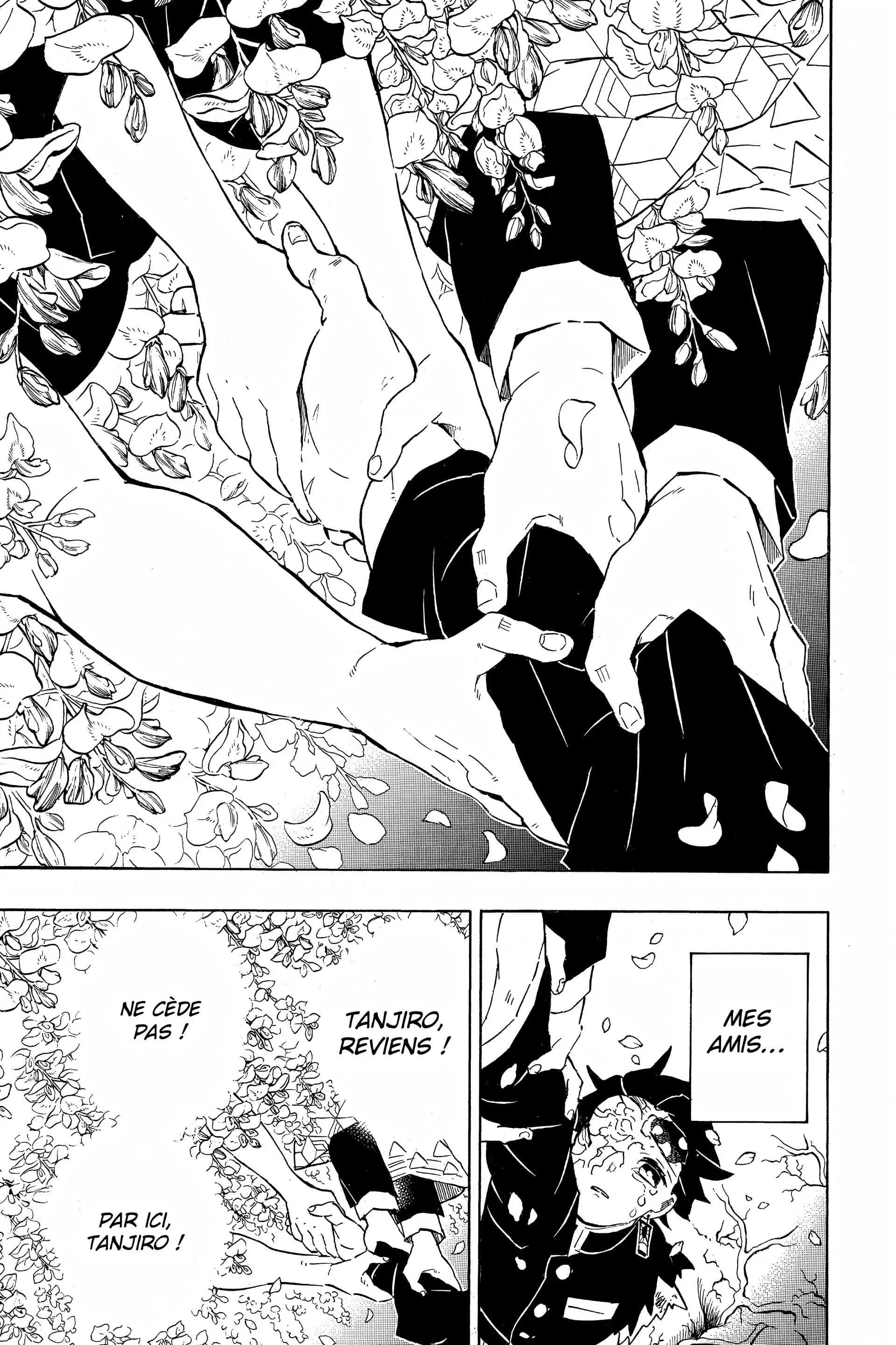 Read Demon Slayer FR Manga Online