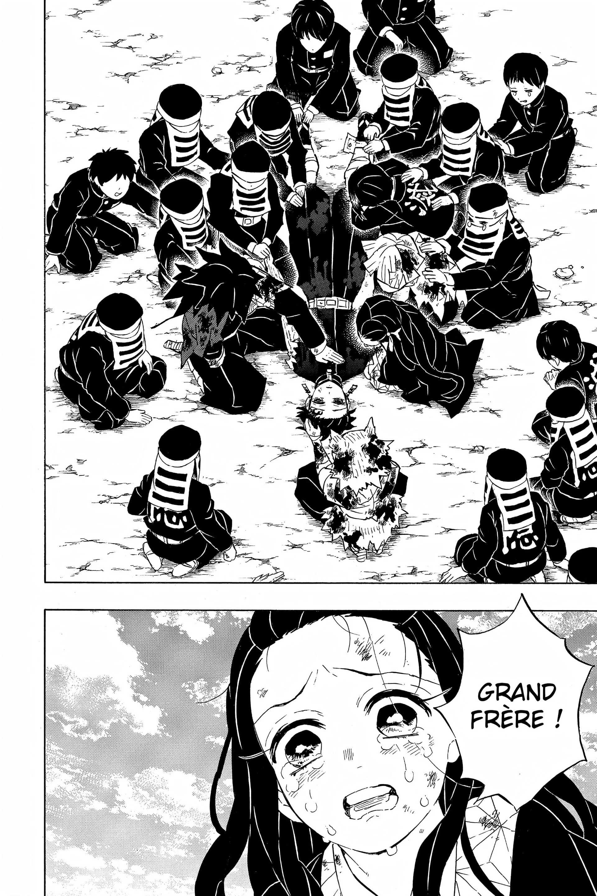 Read Demon Slayer FR Manga Online