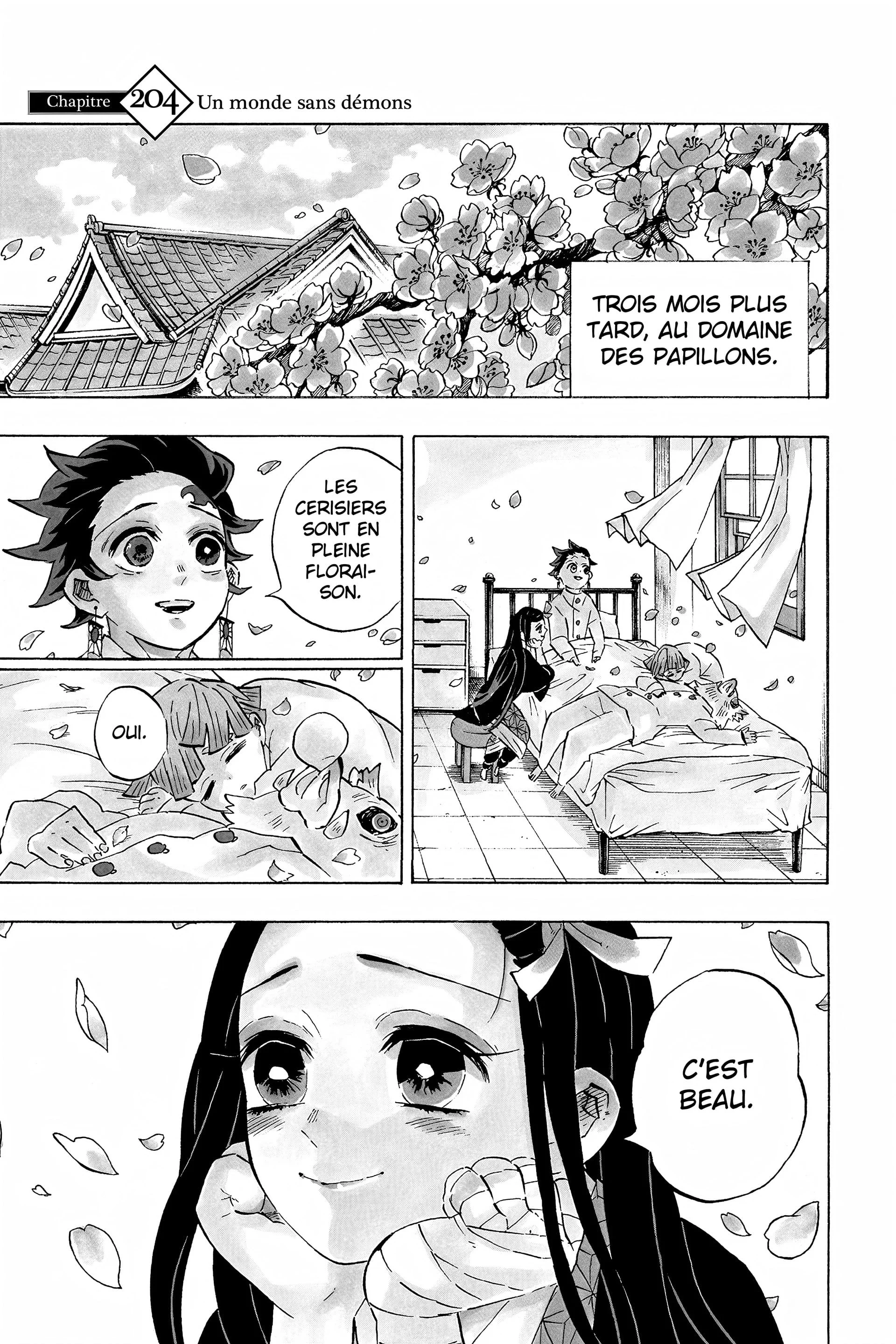 Read Demon Slayer FR Manga Online