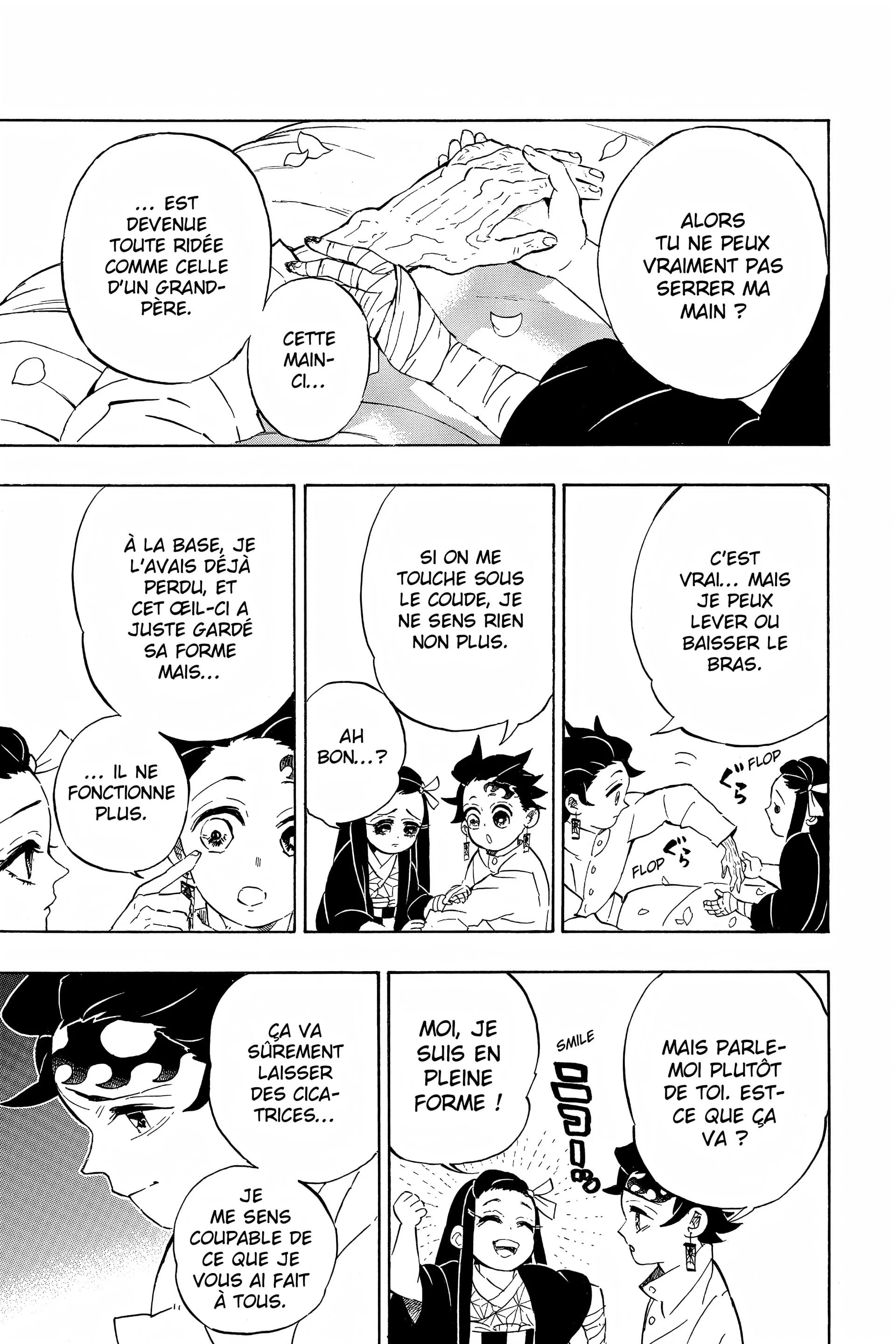 Read Demon Slayer FR Manga Online