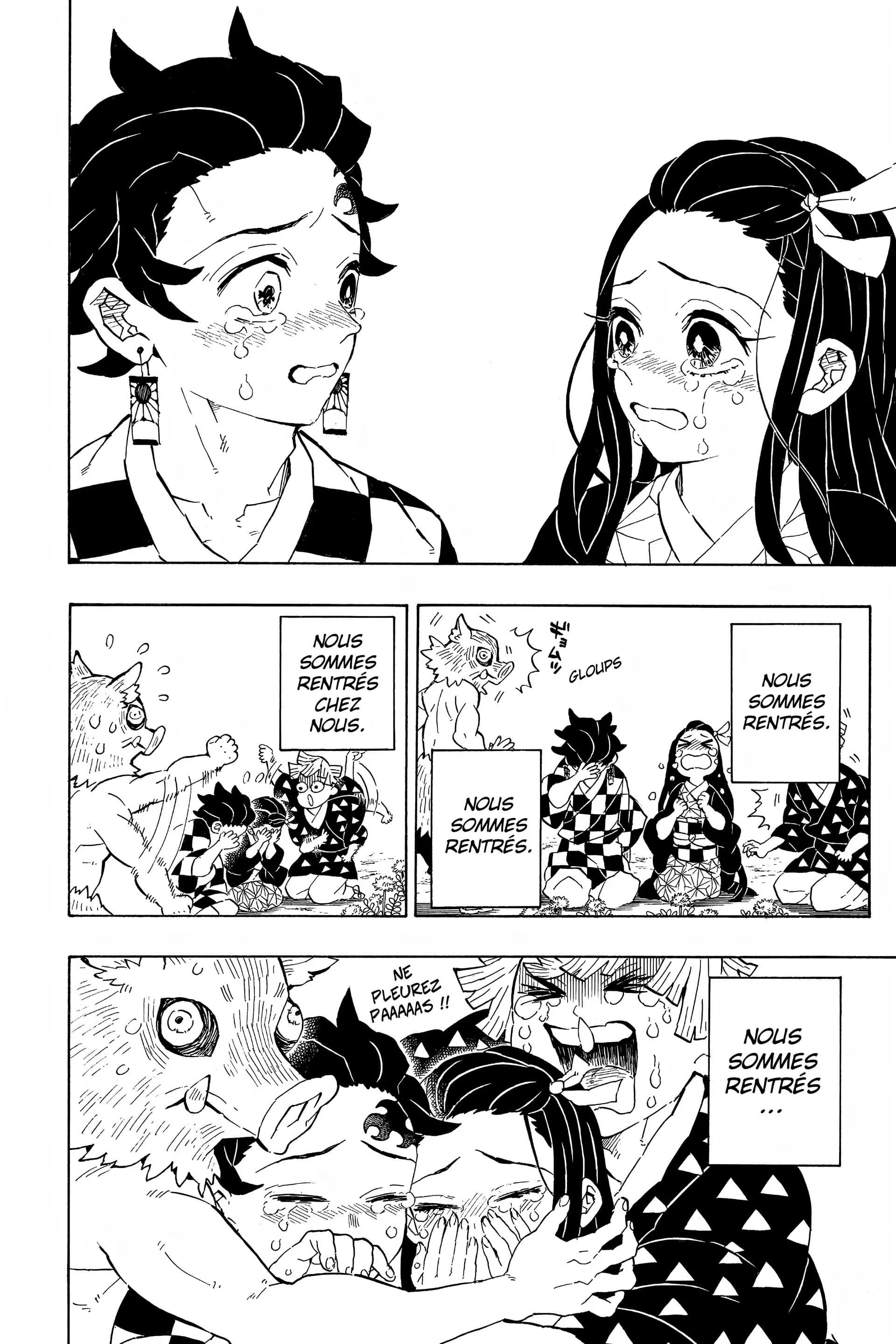 Read Demon Slayer FR Manga Online