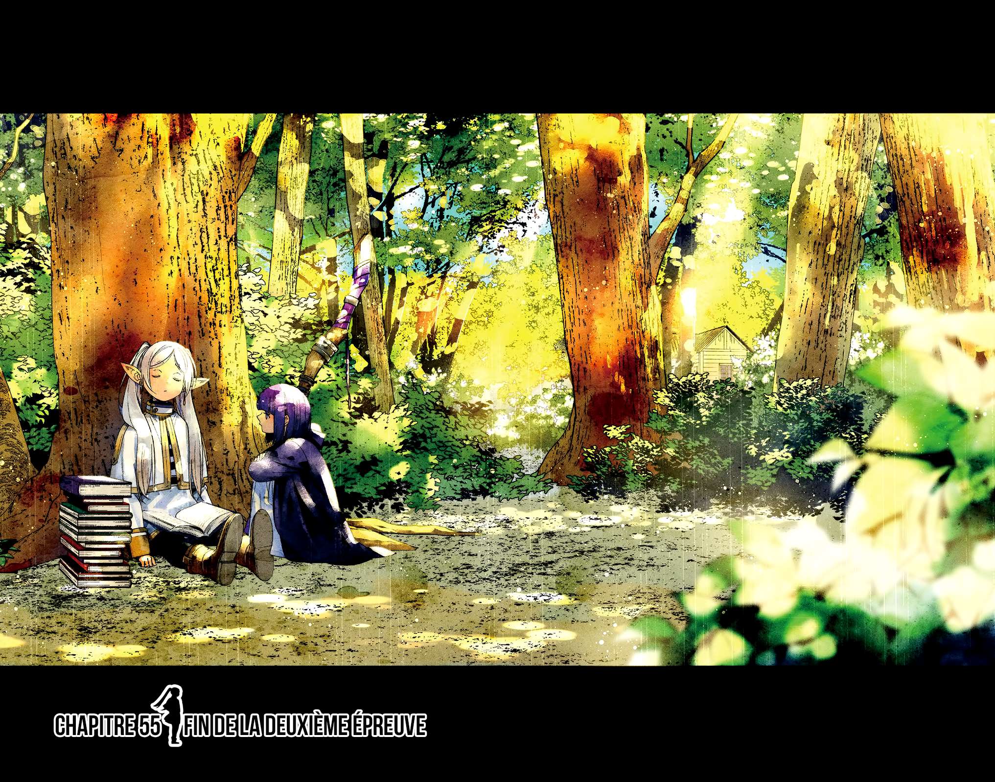 Read Frieren FR Manga Online