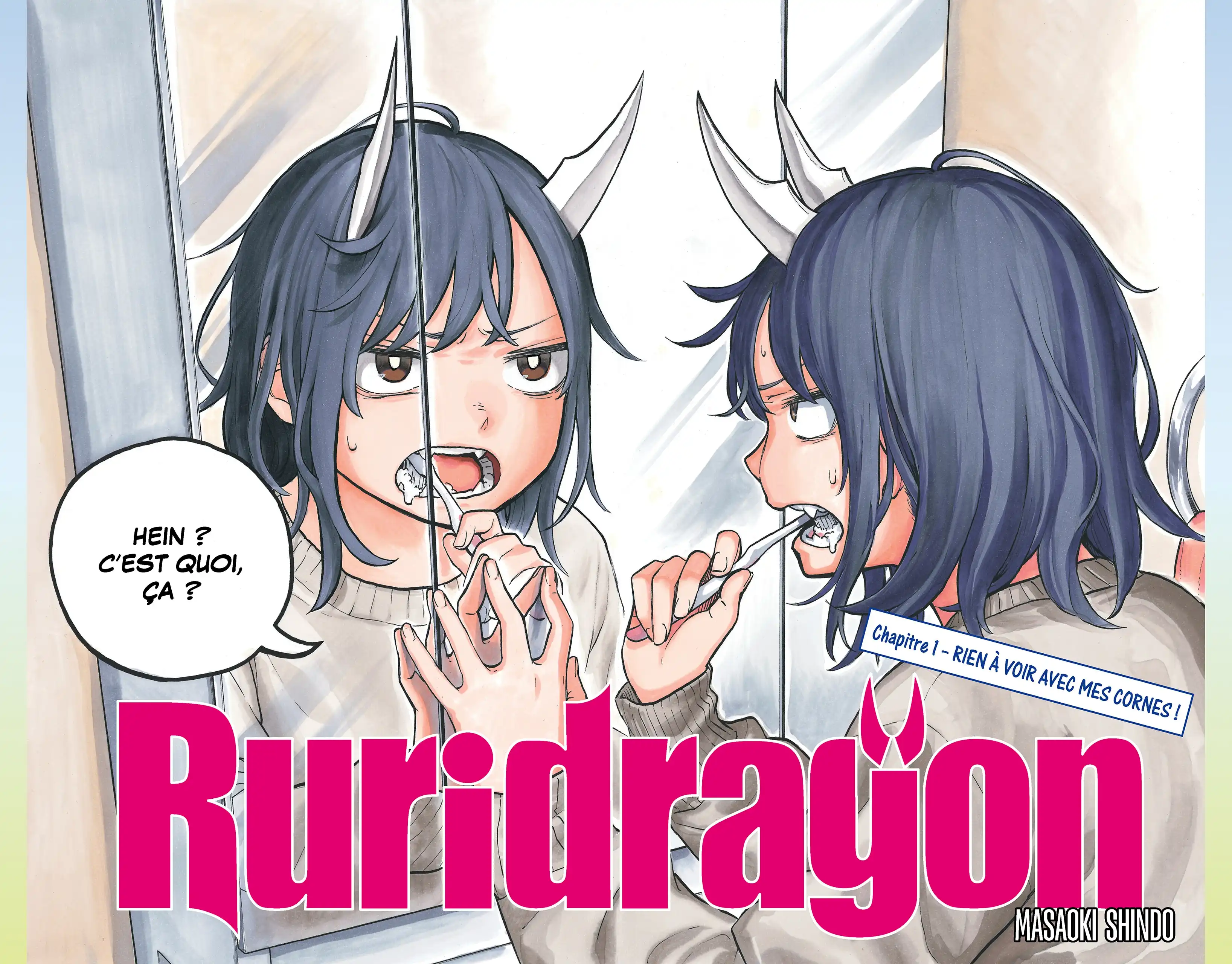 Read Ruridragon FR Manga Online