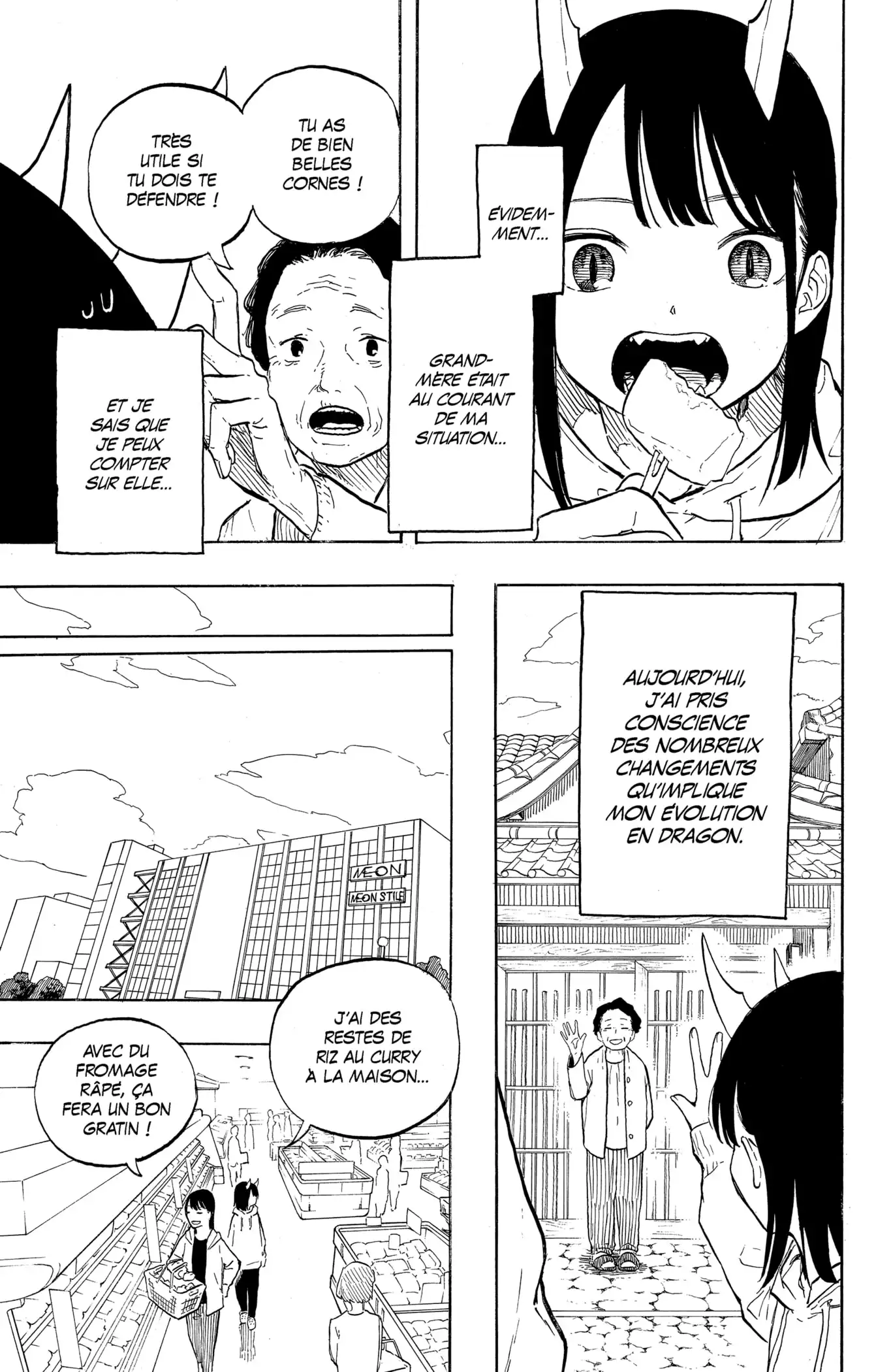 Read Ruridragon FR Manga Online