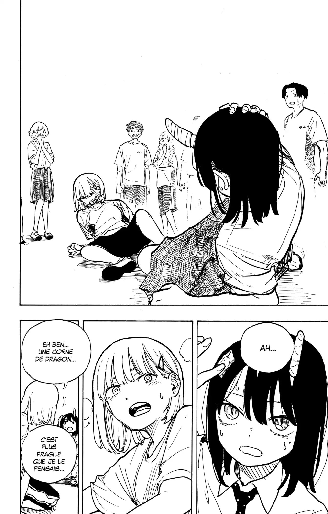 Read Ruridragon FR Manga Online