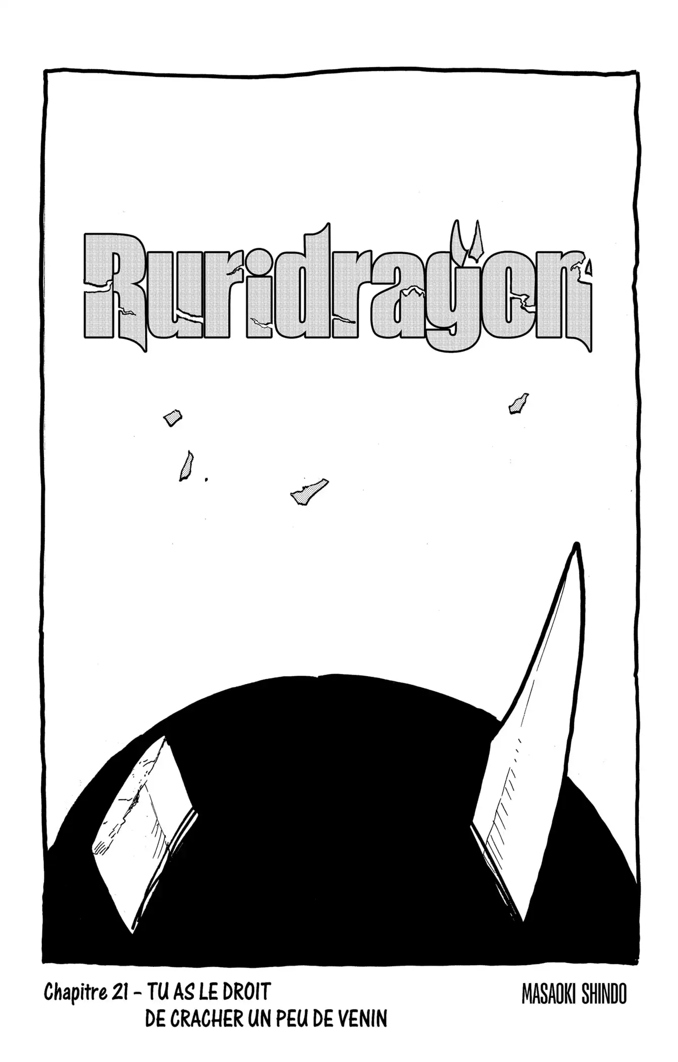Read Ruridragon FR Manga Online