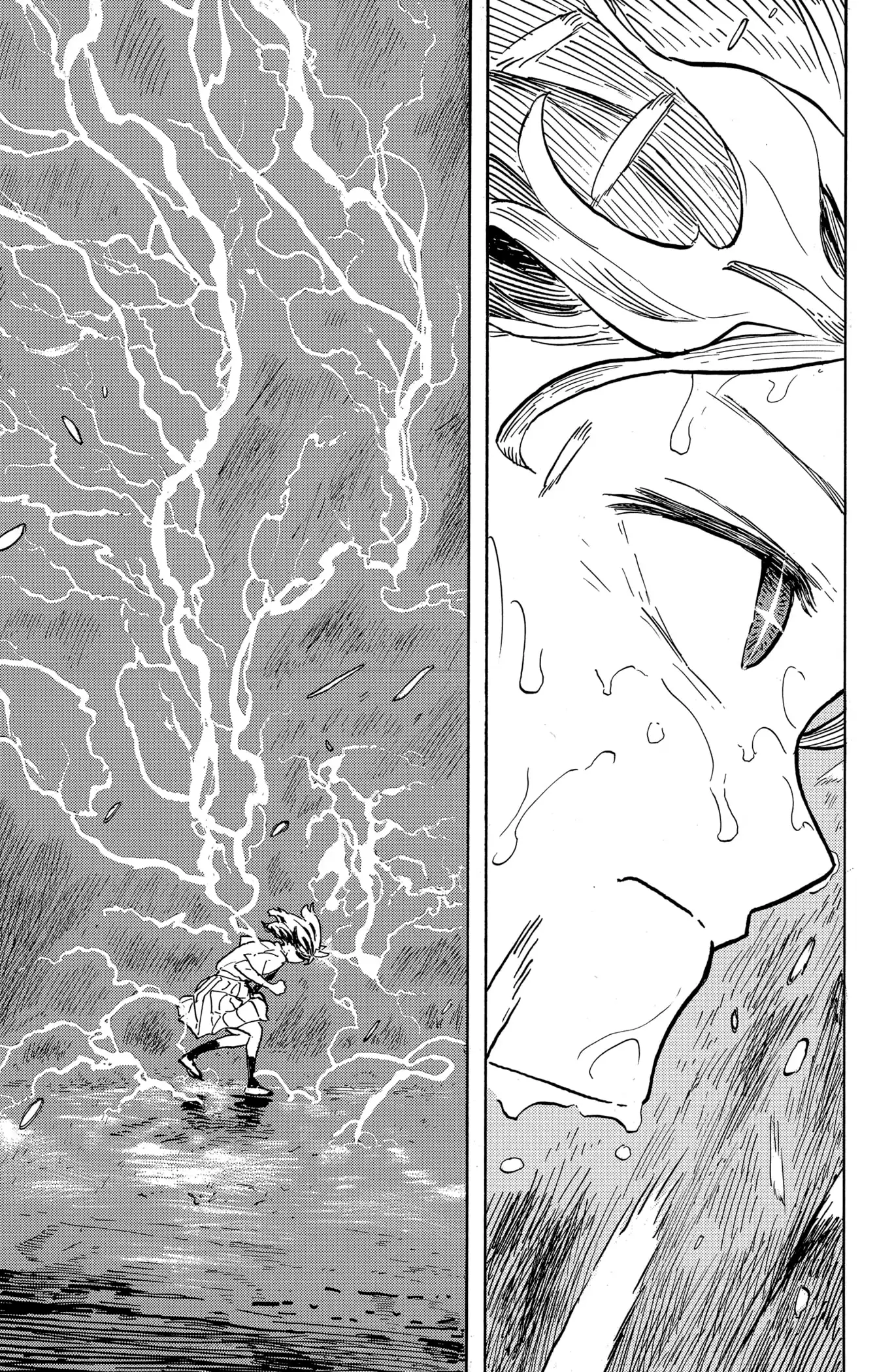 Read Ruridragon FR Manga Online