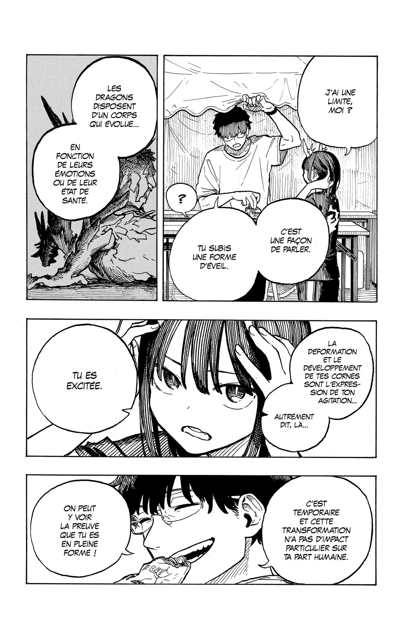 Read Ruridragon FR Manga Online