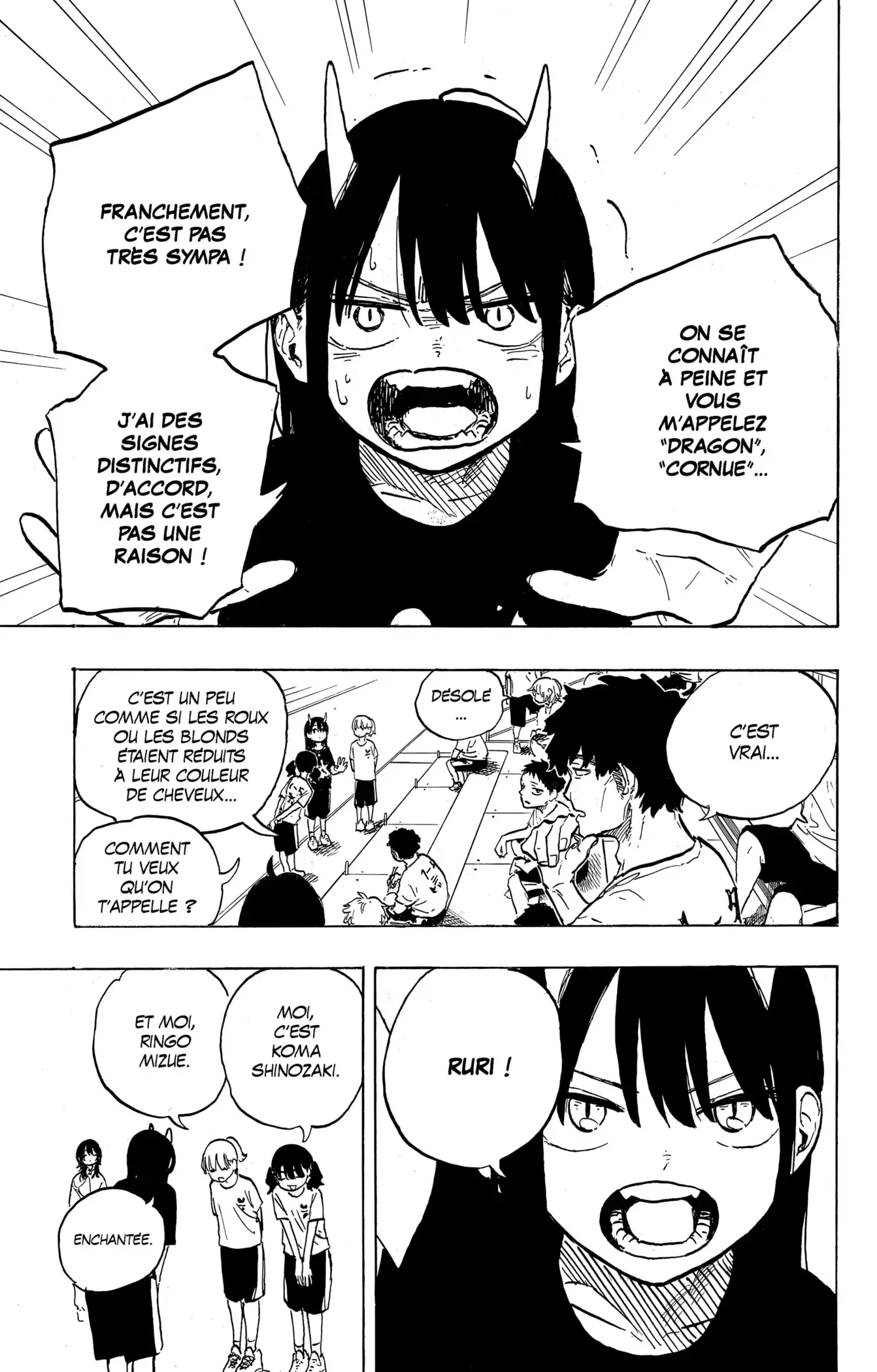 Read Ruridragon FR Manga Online