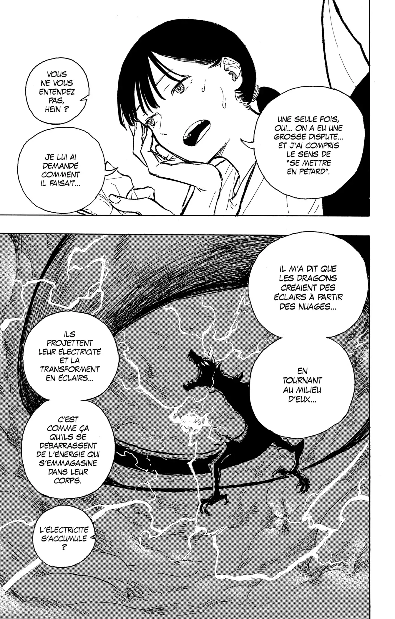 Read Ruridragon FR Manga Online