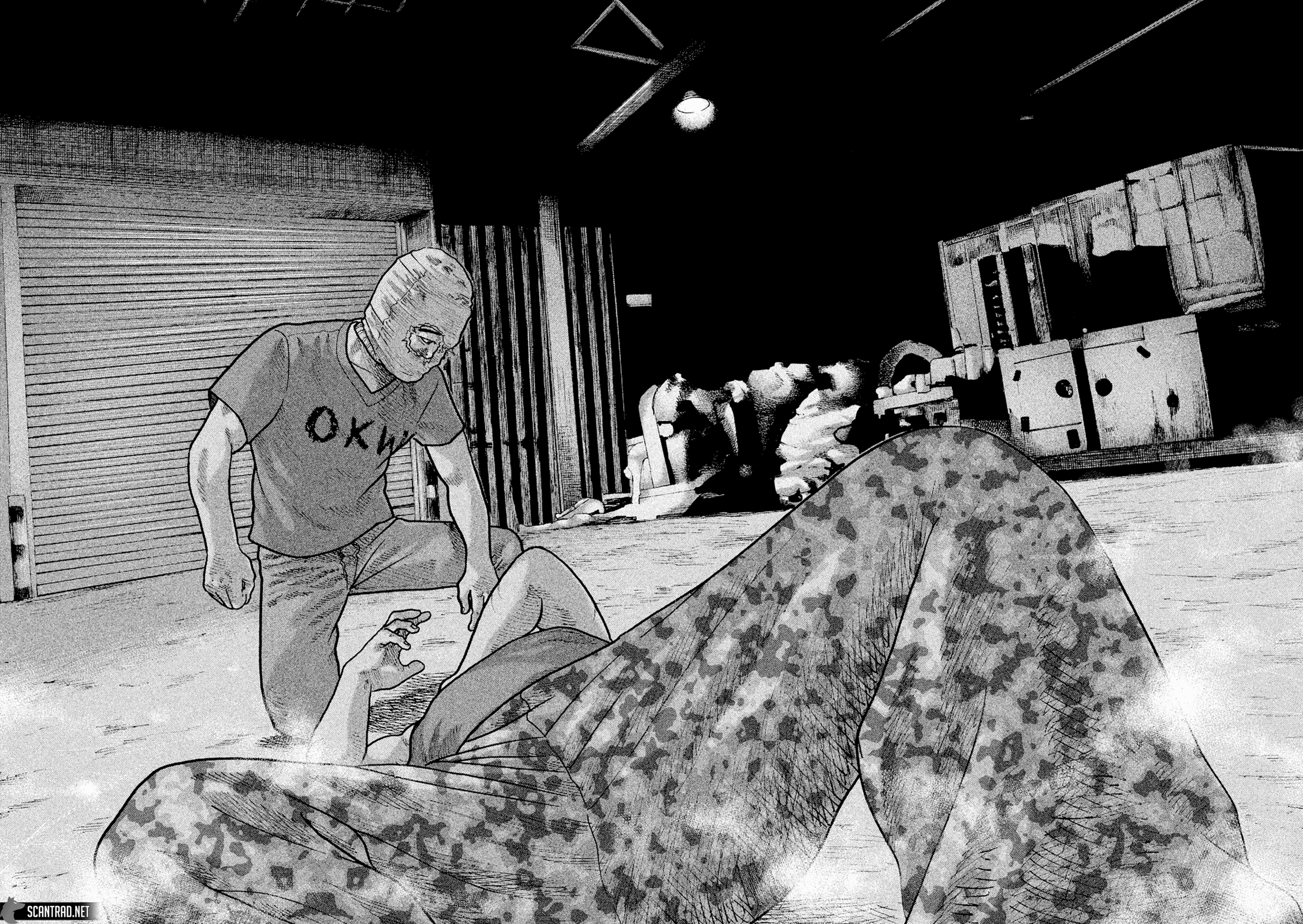 Read The Fable FR Manga Online