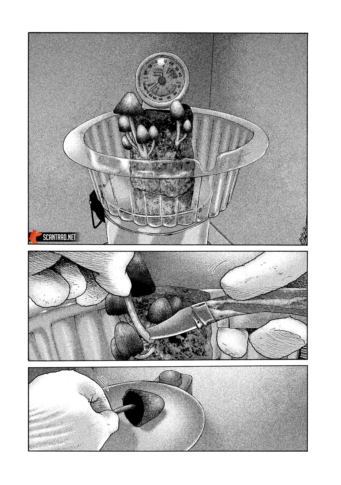 Read The Fable FR Manga Online