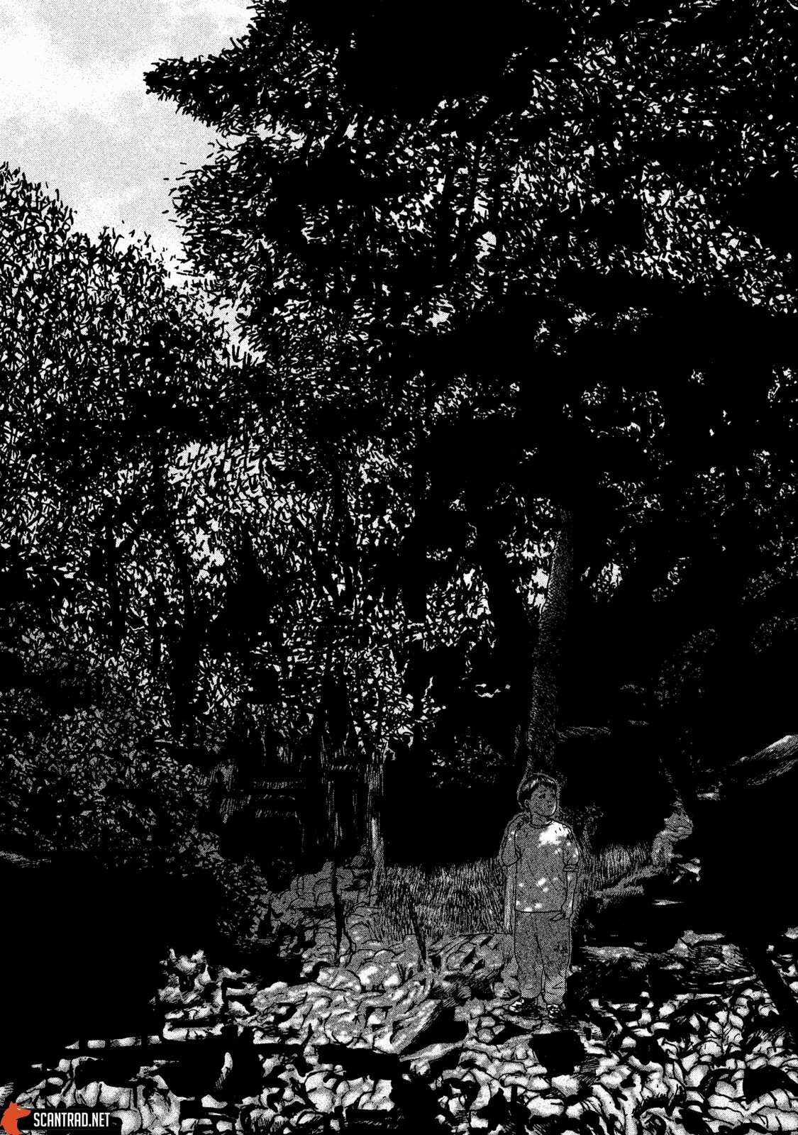 Read The Fable FR Manga Online