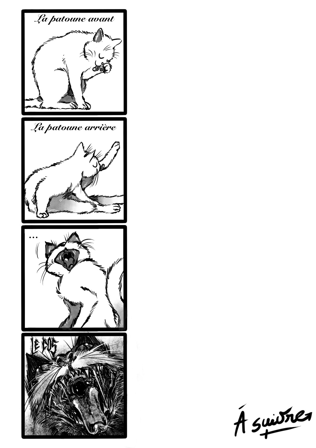 Read Turbo Transapocalypse FR Manga Online