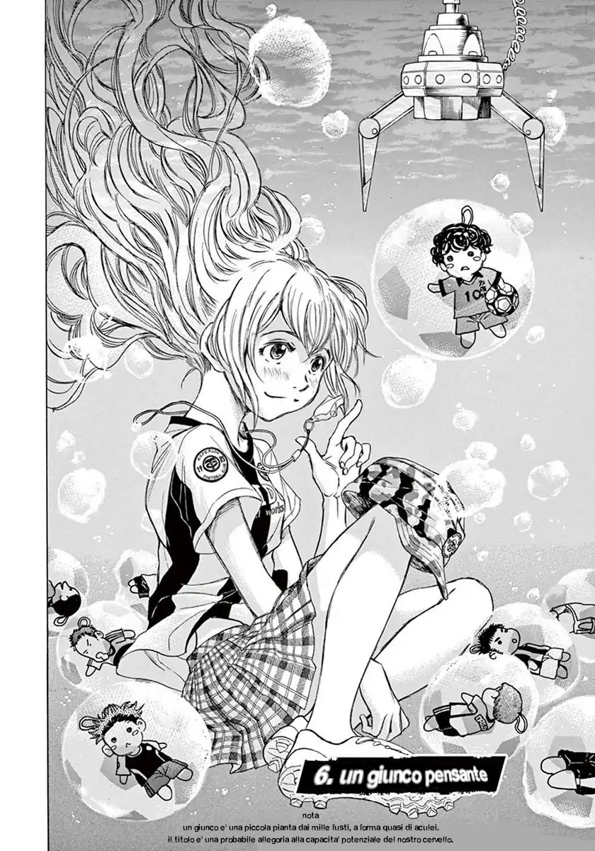 Read Ao Ashi IT Manga Online