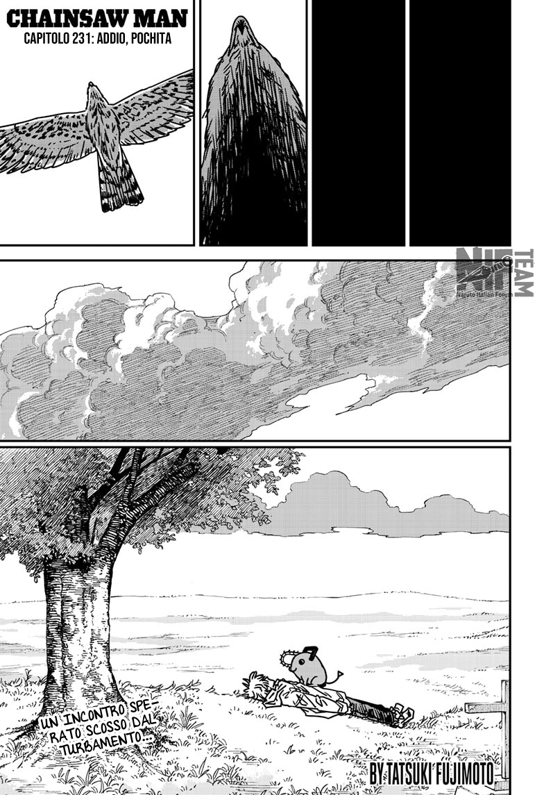 Read Chainsaw Man IT Manga Online